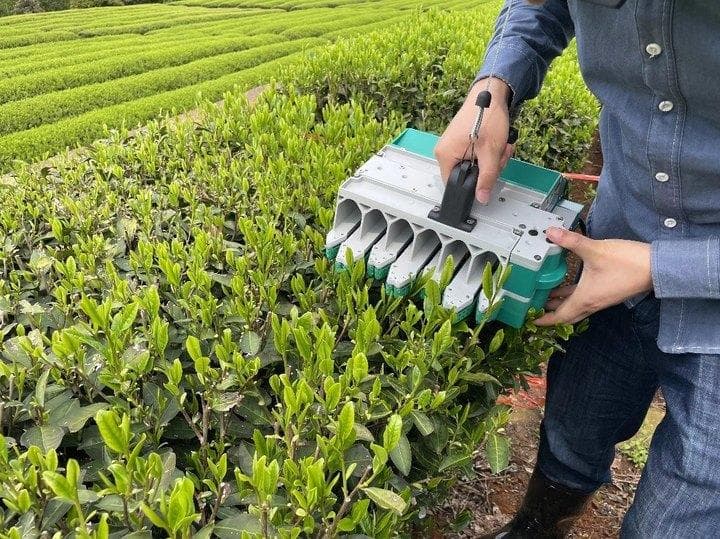 重量不到3.5公斤的它，却让茶产业迎来发展新“机”遇
