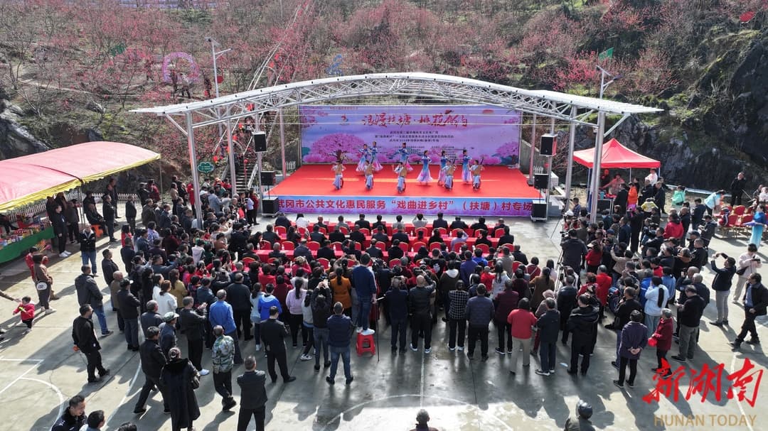 武冈桃花艺术节：文旅融合助力乡村振兴