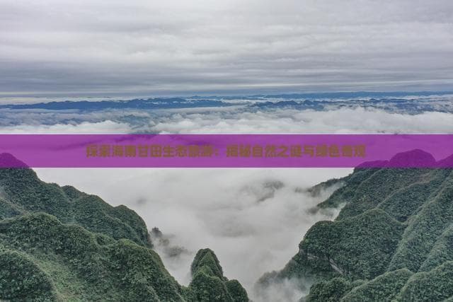 探索海南甘田生态旅游：揭秘自然之谜与绿色奇观