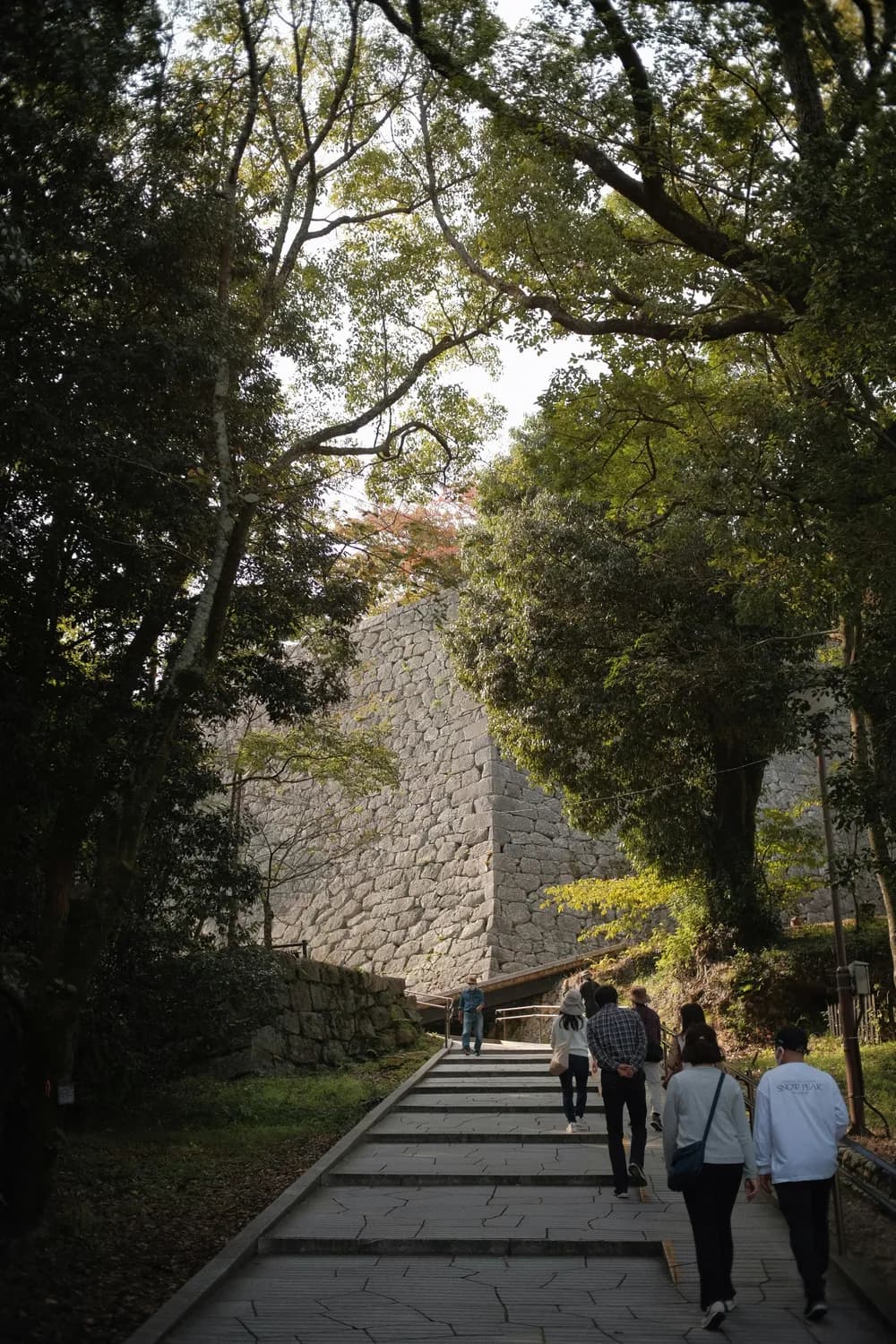 广州探秘：越秀公园&沙面岛的历史文化之旅