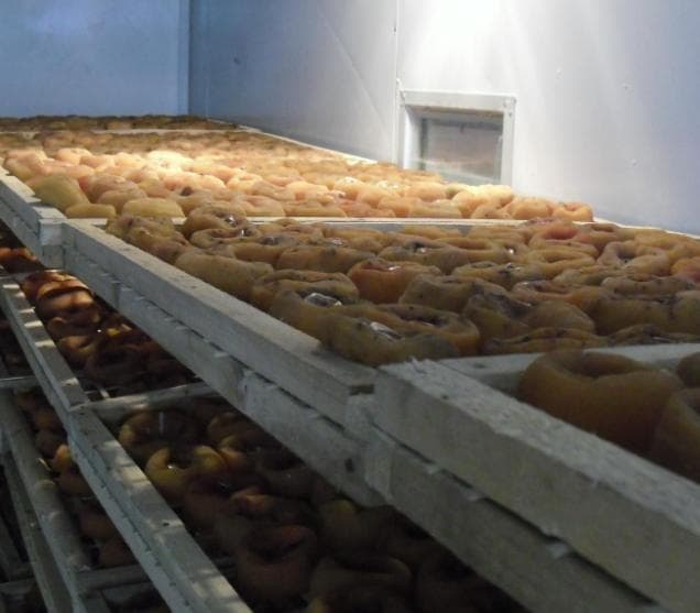 热泵烘干工艺在柿饼加工中的应用