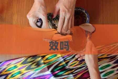 莓茶有降血压的功效吗