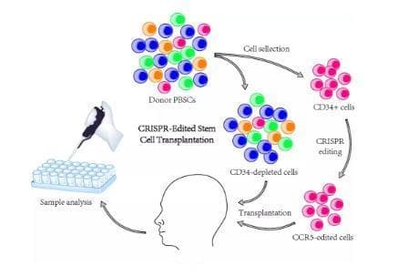 CRISPR治疗艾滋病和白血病，中国实现全球首次临床应用