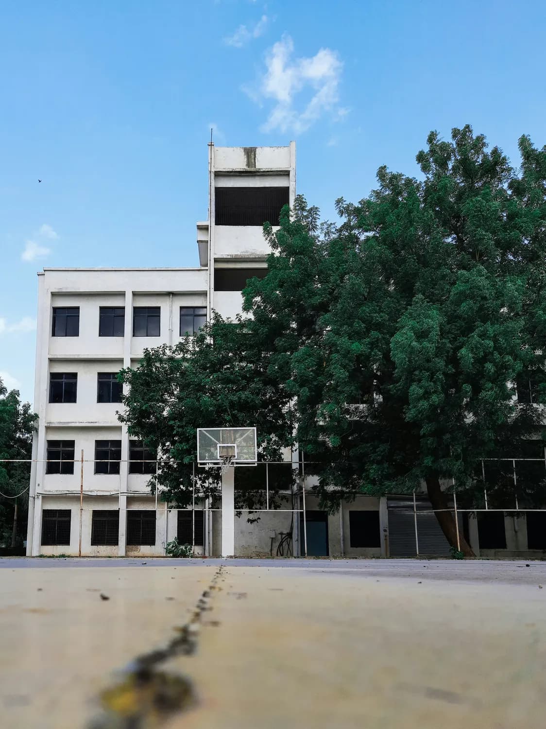 桂平市大洋镇卫生院：守护一方健康