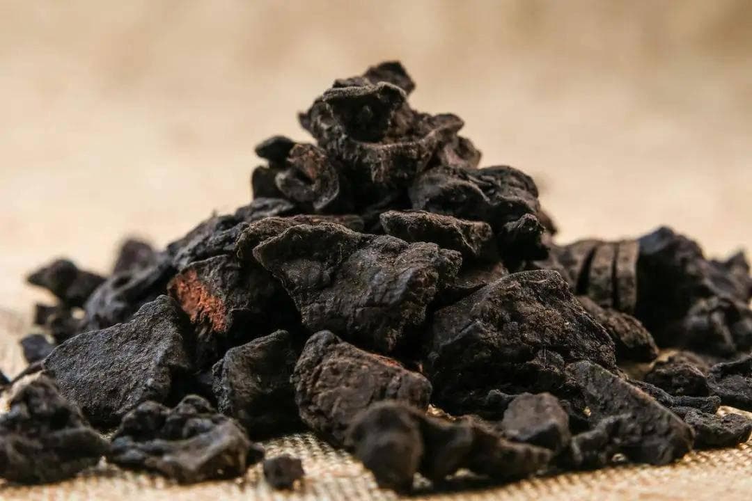 何首乌，真的可以让白发变黑发吗？