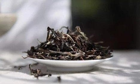 普洱茶冲泡比例与水量掌握：详解口感与正确冲泡方法