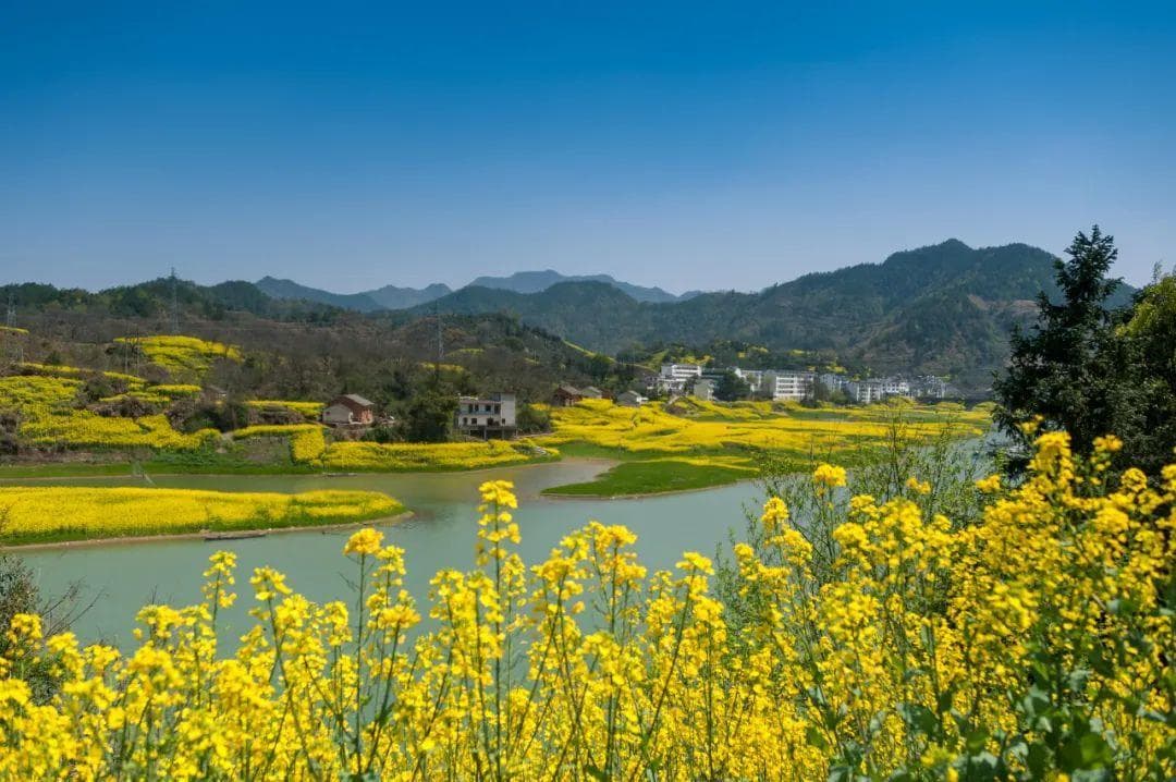 三月总要去一趟风景如画的安徽吧，处处好春光