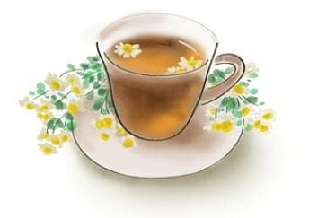 孕妇可以喝菊花茶吗？医生给出专业建议