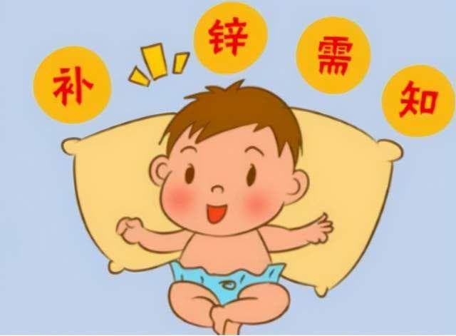 锌：成长路上的关键元素