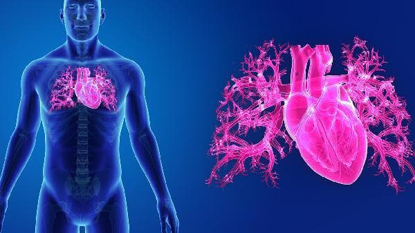 心跳60次正常吗？专家解读心率健康标准