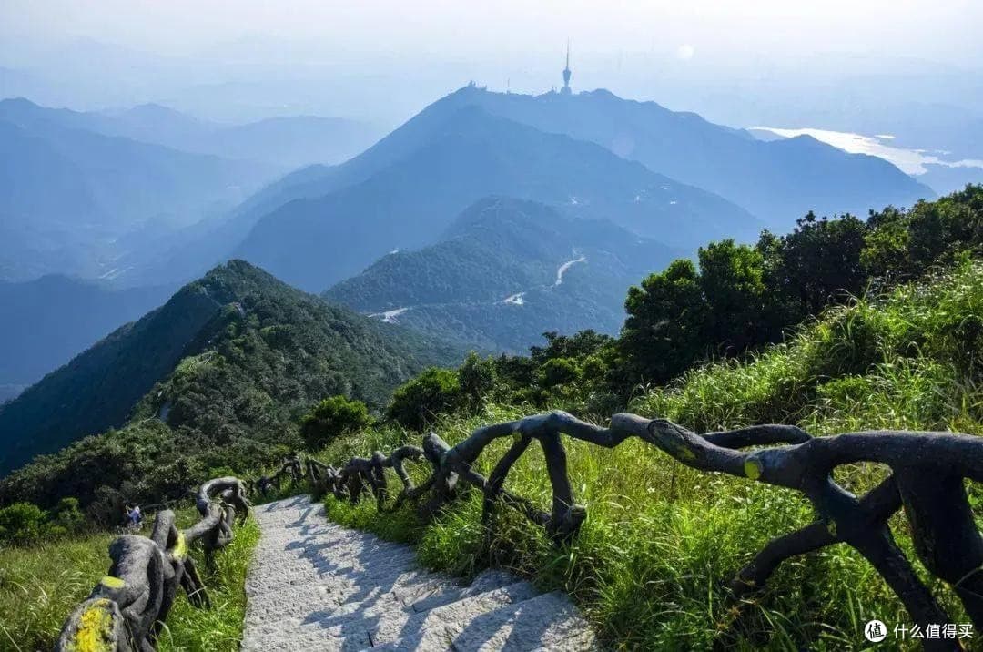 梧桐山登山攻略：山海之间，一场与自然的对话