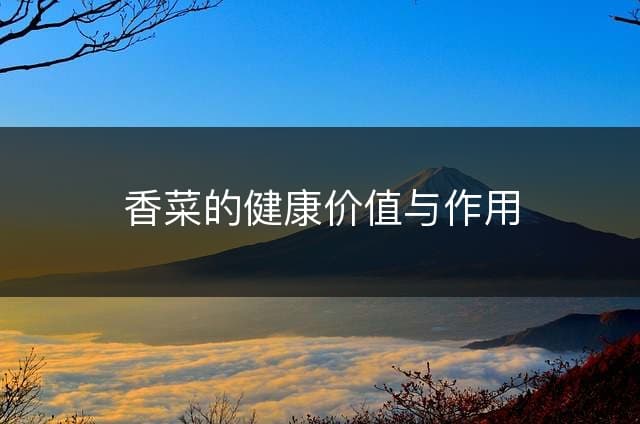香菜的健康价值与作用
