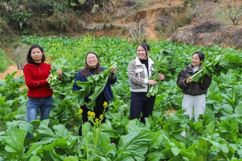 宝妈变“主播”！“电商+直播”助力信宜农特产品“出山”