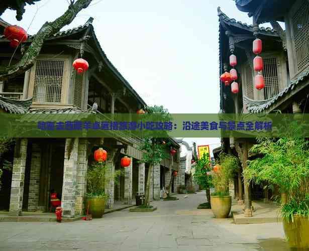哈密去西藏羊卓雍措旅游小吃攻略：沿途美食与景点全解析