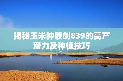 揭秘玉米种联创839的高产潜力及种植技巧