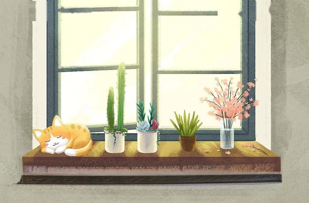 百合、马蹄莲等花卉对猫剧毒，这些安全选择请收好