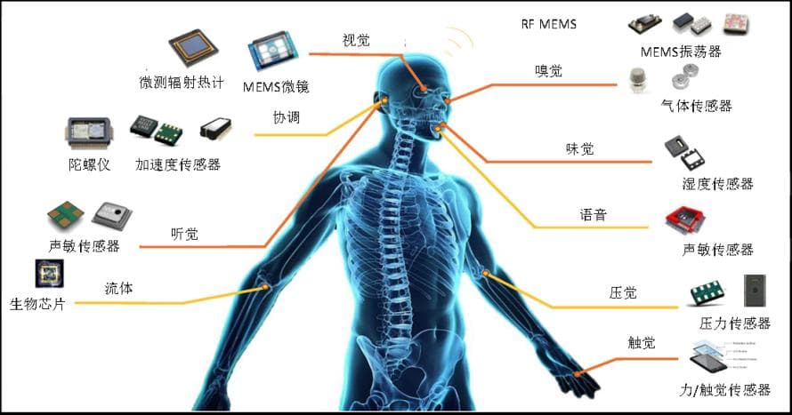 为什么智能手表能监测你的健康？揭秘背后的MEMS传感器技术