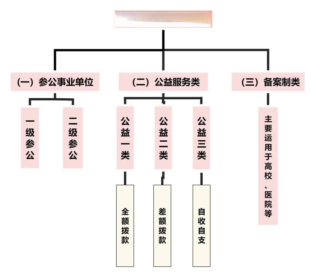 一次分清：事业单位三种编制的区别，待遇差距这么大？
