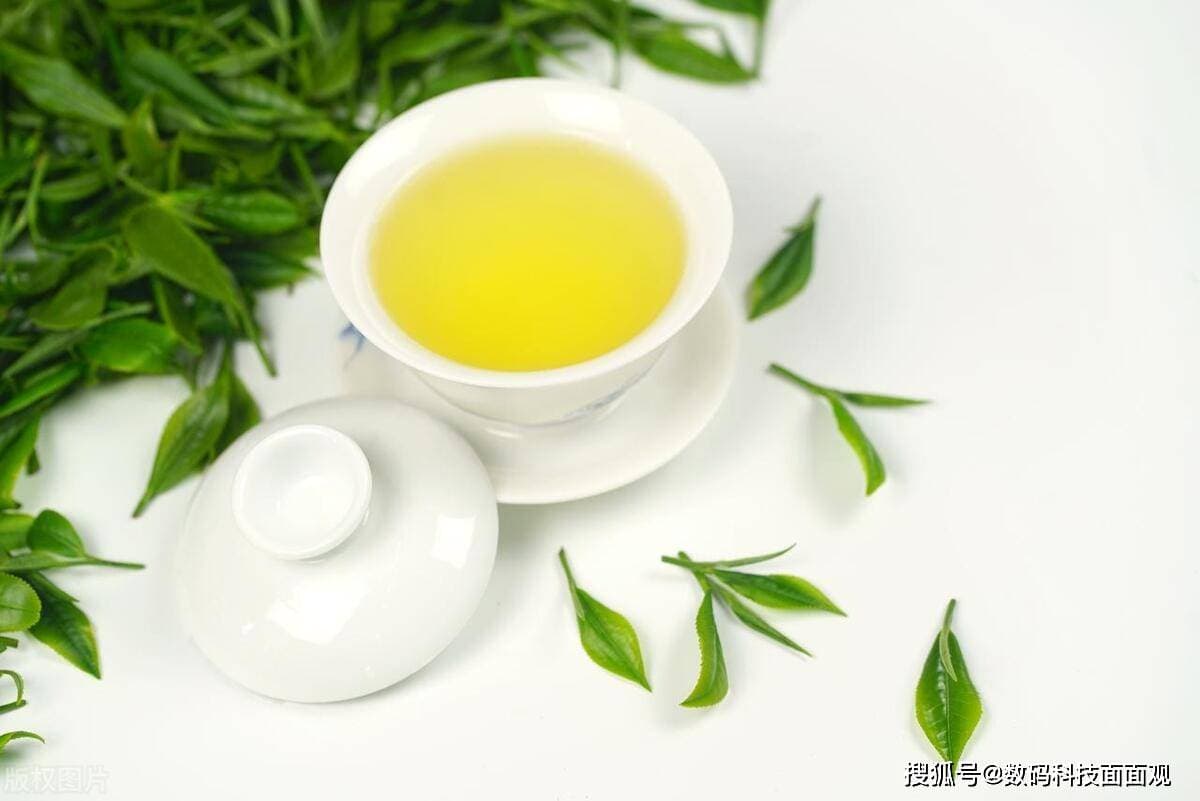 春天适合喝什么茶？春季品茗，探寻春茶的魅力与选择
