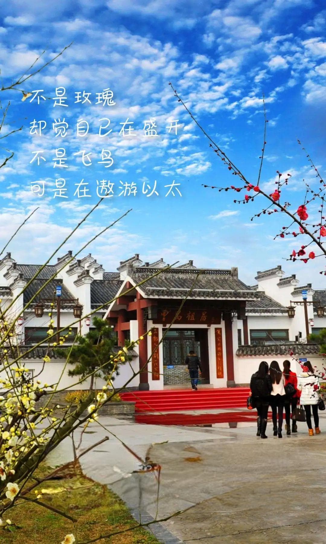 春日丽人行——一起邂逅潜江春日烂漫