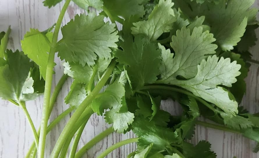 滋补养生的年轻人，为啥狂炫“断阳草”？