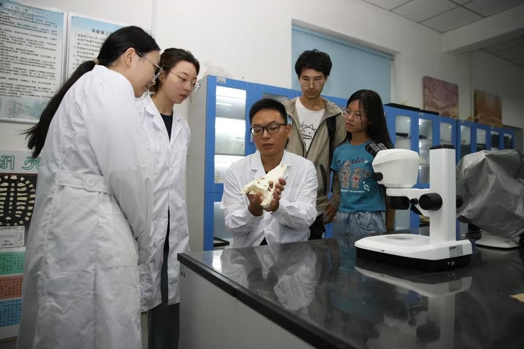 辽西白垩纪恐龙牙齿化石有新发现
