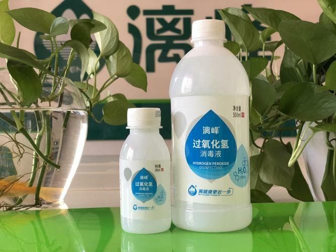 狗狗误食紧急处理：催吐方法与注意事项