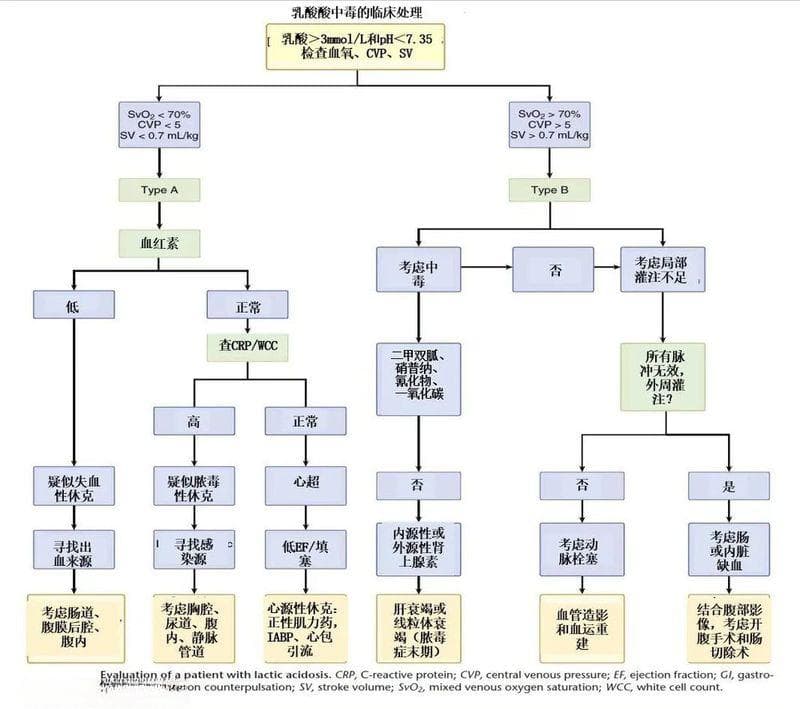 乳酸性酸中毒：糖尿病的致命并发症，及早识别是关键
