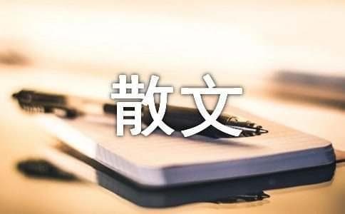 油菜花的散文随笔（通用5篇）