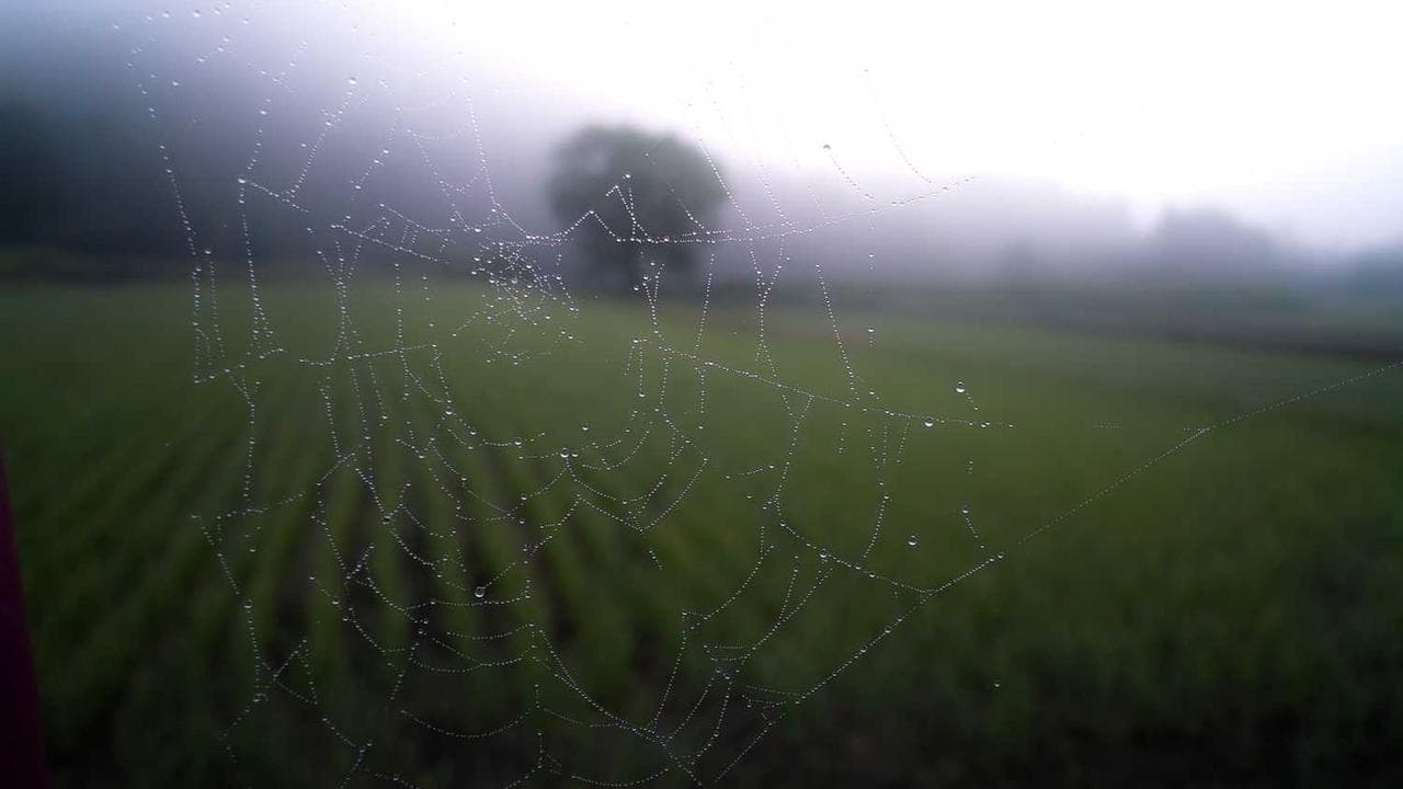 硕士研究生专业选择方式：迷茫？别怕，这份指南帮你理清思路！