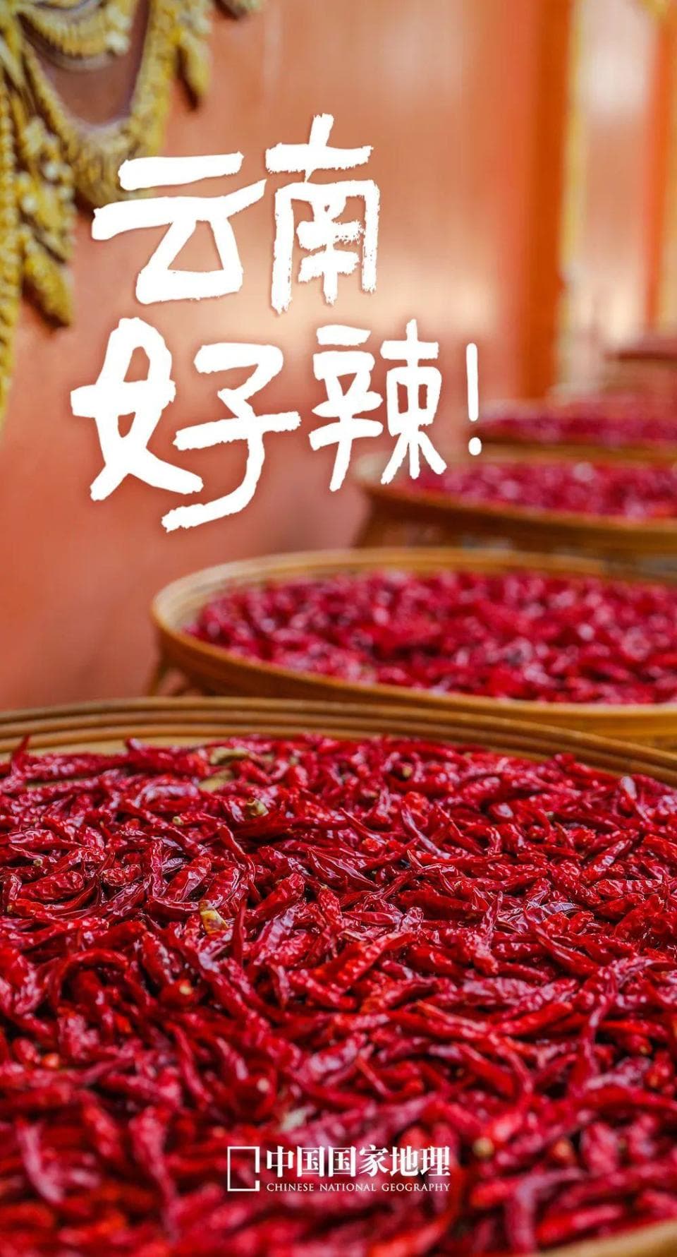云南，隐藏的吃辣王者