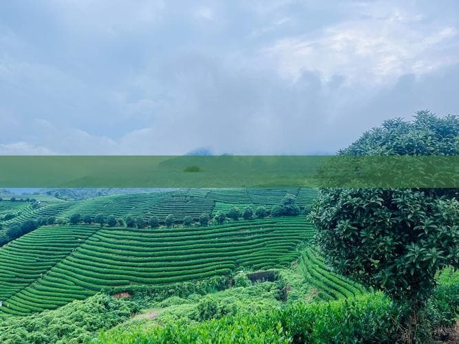 厦门旅游美食攻略：探寻地道小吃与特色美食全指南