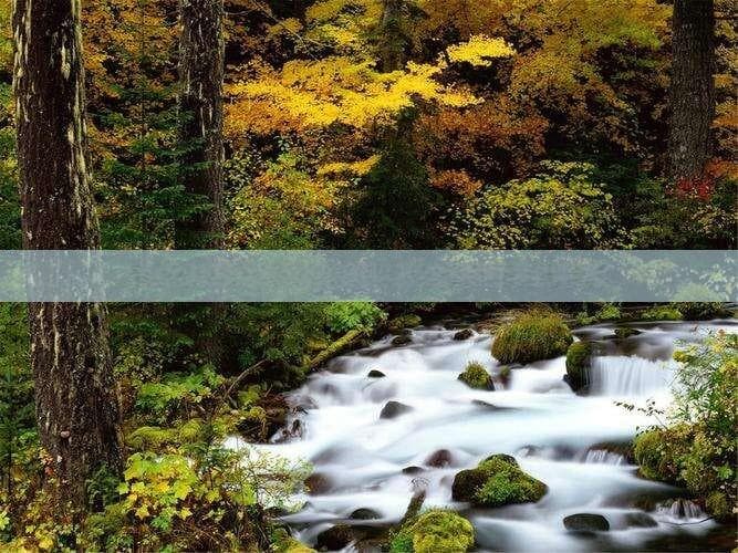 全方位解析海南旅游：交通方式、路线规划与实用建议