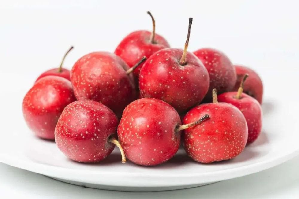 中医药小常识：药食同源之山楂