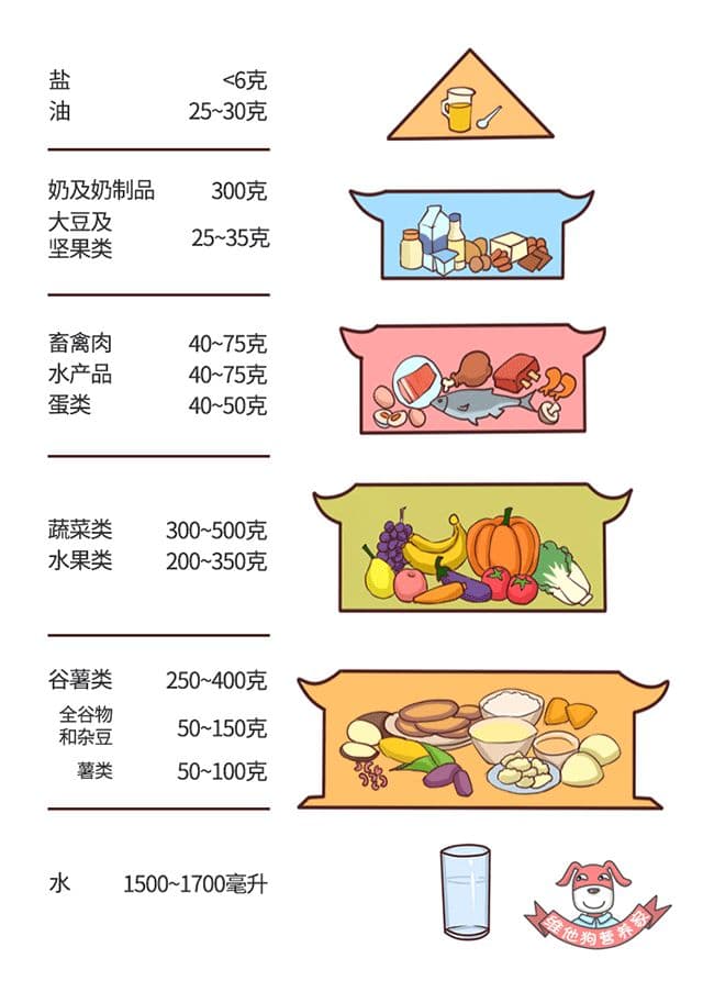 如何为自己安排一天的平衡膳食？一日三餐有学问！