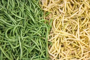 想补铁一定要吃肉？一文为你介绍这些铁质蔬菜！