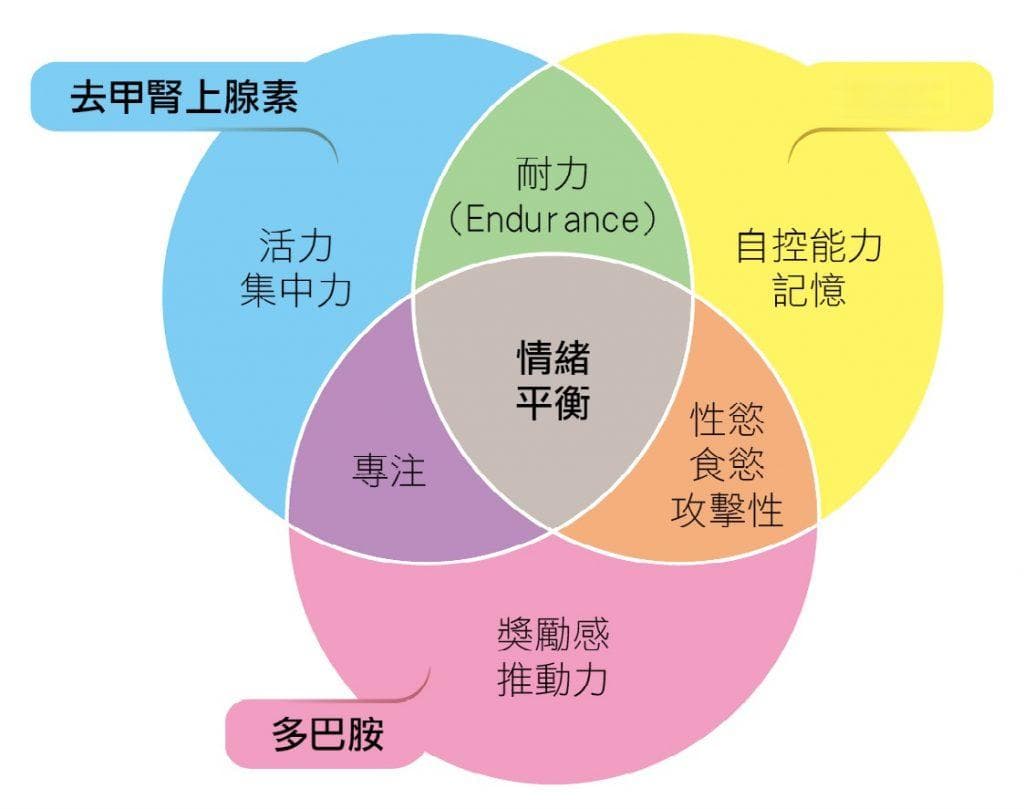 抑郁症病因全解析：从遗传到环境因素