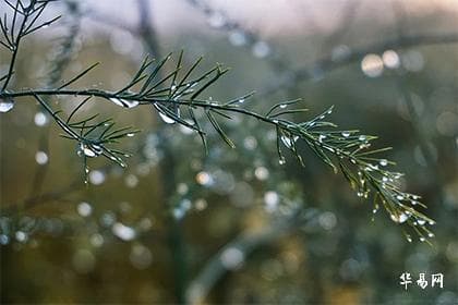 生年四化表解读：化科、化权、化禄、化忌的意义