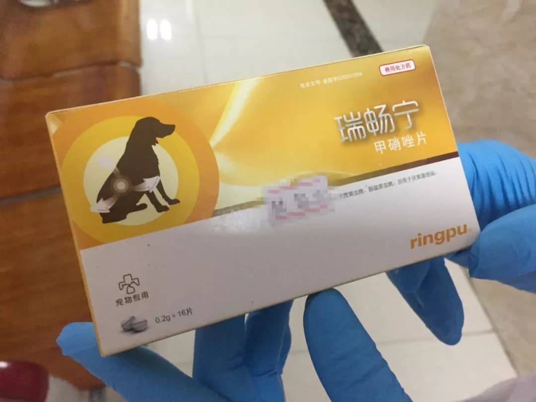 猫滴虫会传染给人吗？关于猫滴虫病的 8 个注意事项