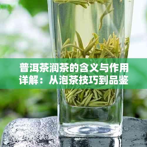 普洱茶润茶的含义与作用详解：从泡茶技巧到品鉴体验全面提升