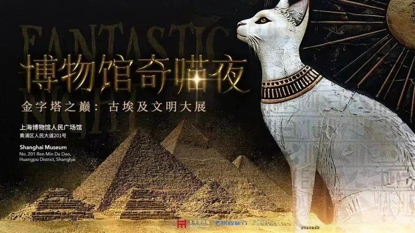 带猫咪看人文大展、带狗狗喝“爪布奇诺”……在上海，“宠物友好”不只是口号