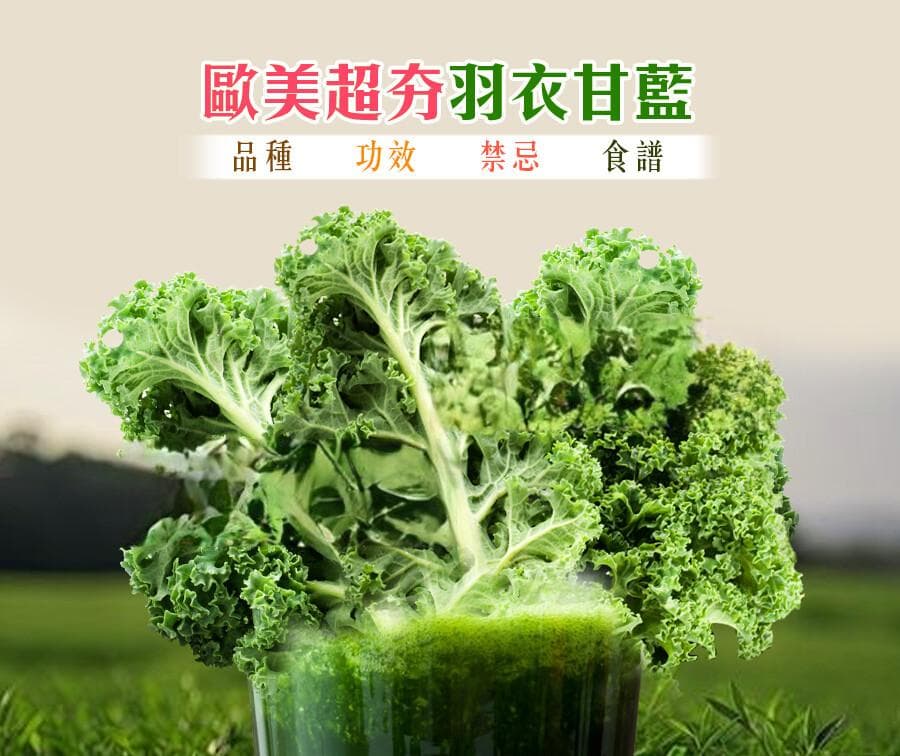 羽衣甘蓝是什么？这种“超级食物”该如何食用？品种、功效、禁忌与食谱一次看！