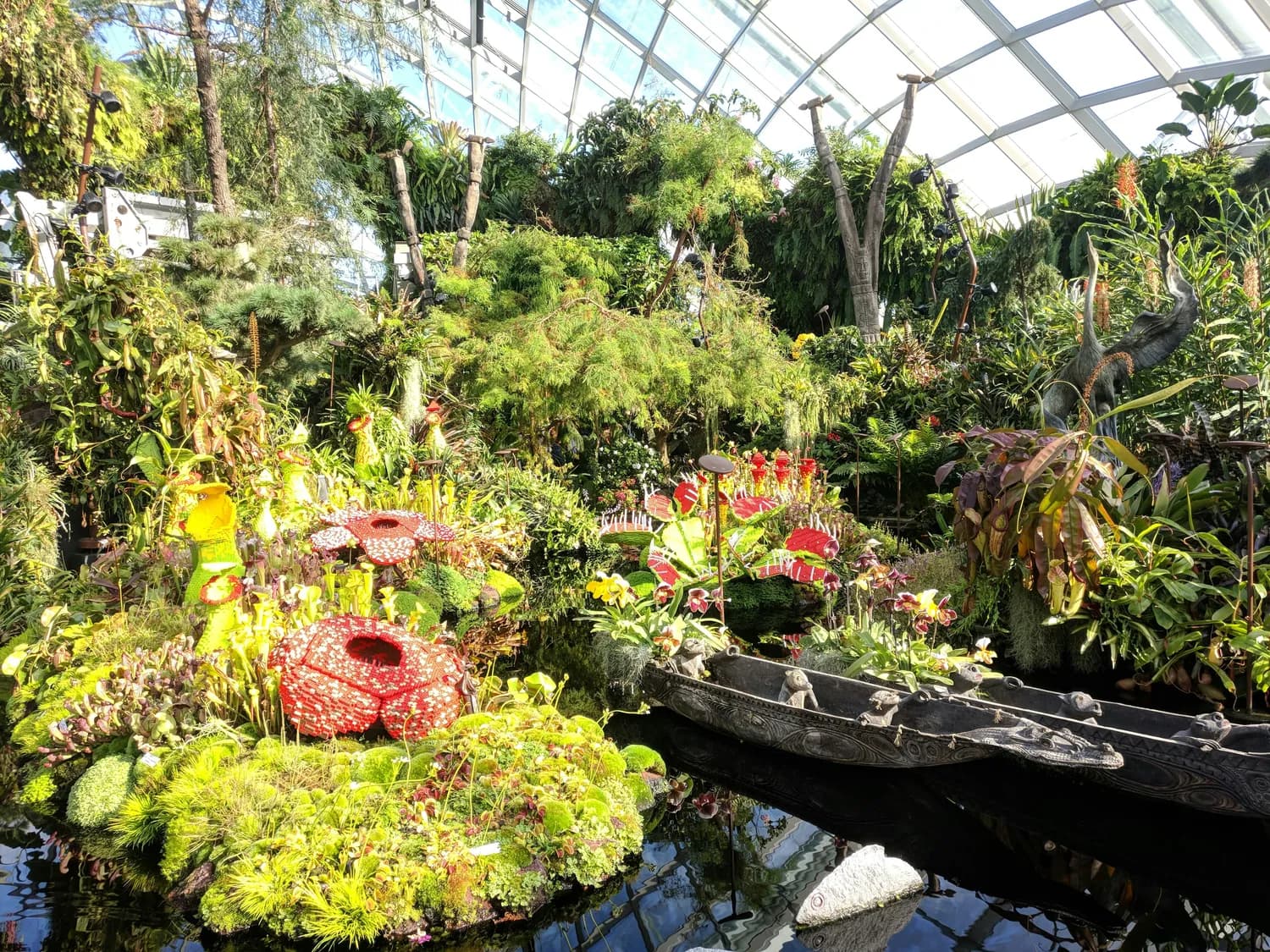 水陆缸种啥植物最养眼？