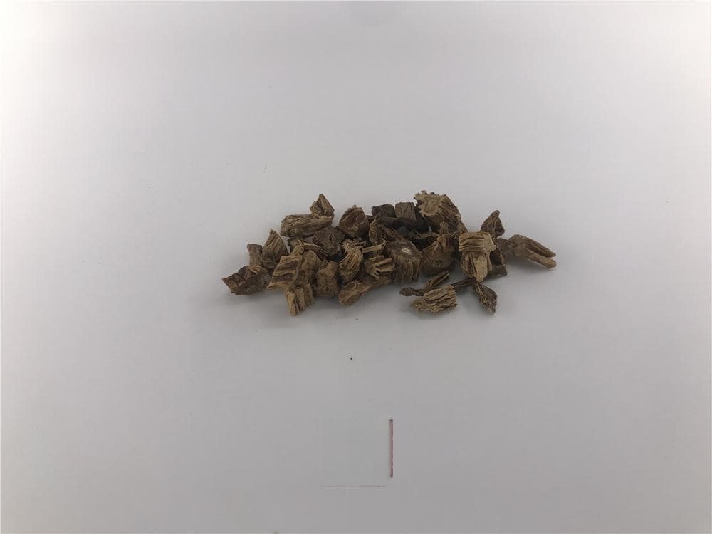 百部的功效与应用