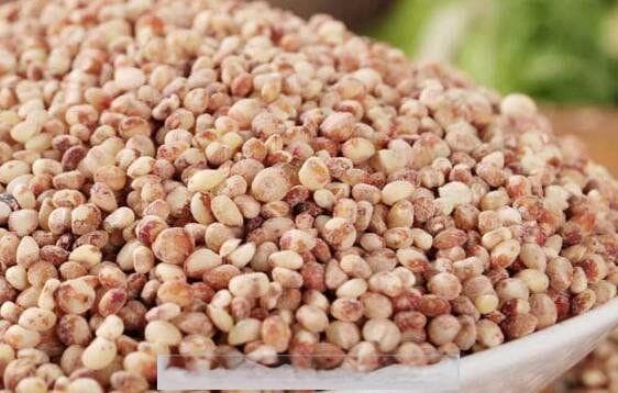 高粱米怎么吃 高粱米的食用方法图片