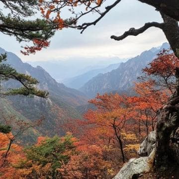 探索华山：必看攻略与详尽介绍
