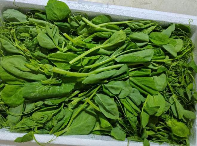 冬季时令蔬菜豌豆嫩尖：营养价值与烹饪方法