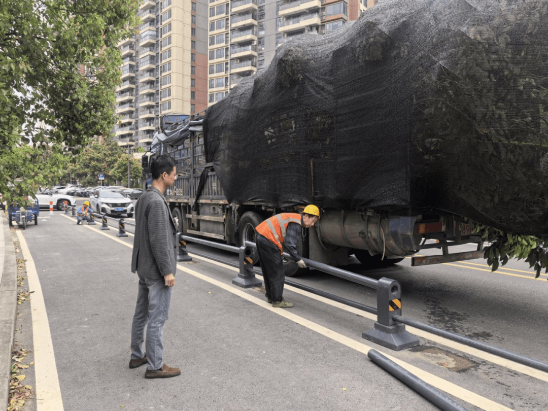 龙湾片区交通综合整治进行时