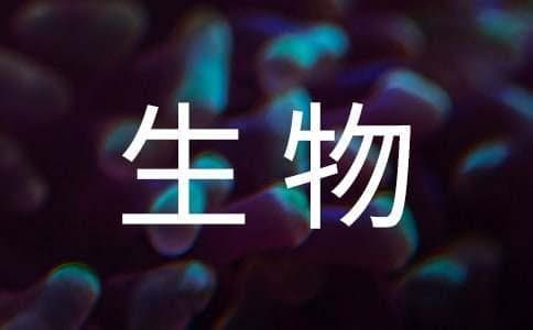 谈高中生物教学与初中生物教学的相关性
