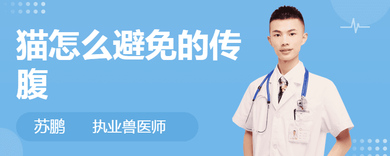 猫怎么避免的传腹